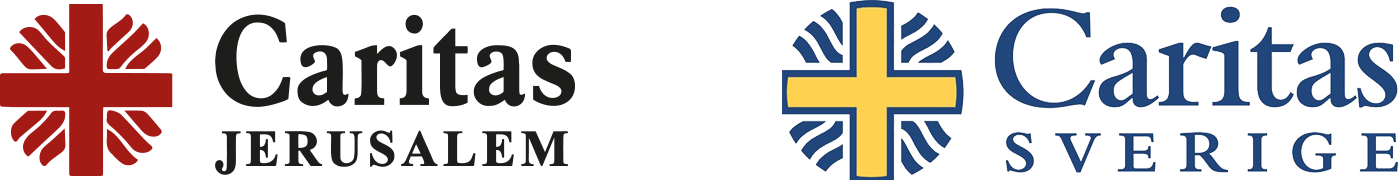 logo caritas website copy